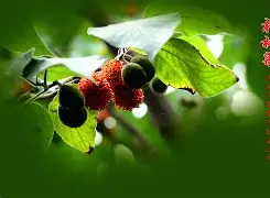 '聇覟?匐-]彞P藚驒*溗岫繇[F枸?|T箍蚰D??